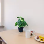 Holiday home 2-room In Denmark
