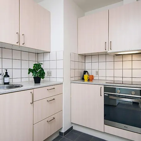 2-room In Denmark רינגקובינג