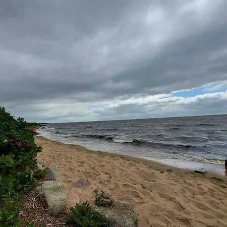 Дом отдыха 2-room In Denmark Ринкёбинг